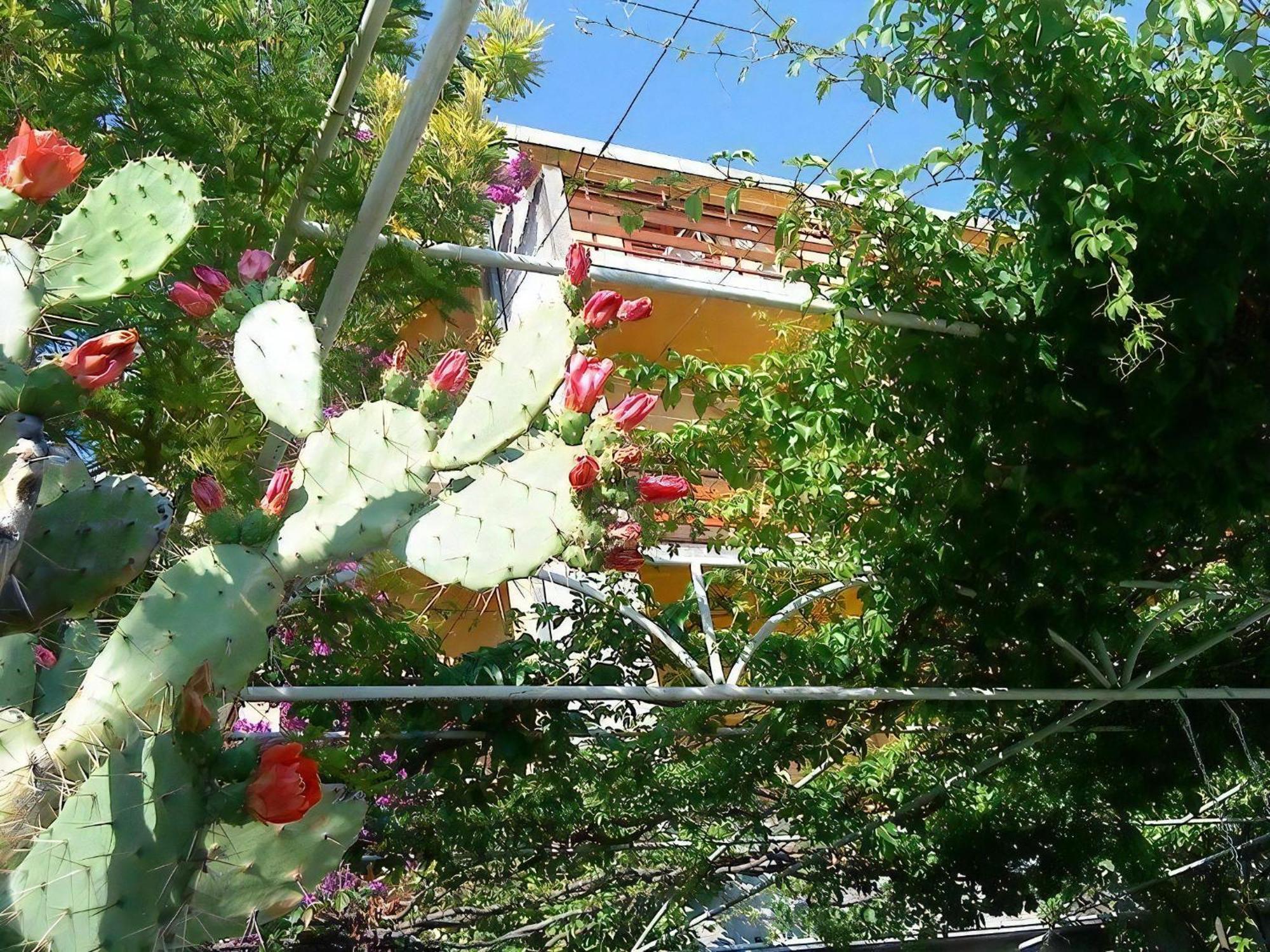 Apartment Maestral *